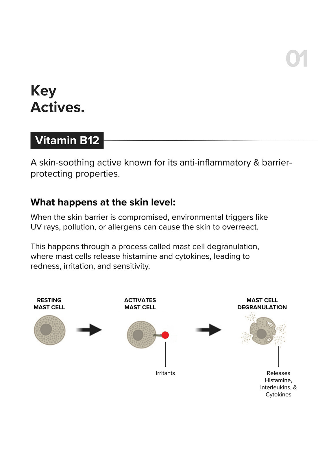 B12 + Repair Complex 5.5% Face Moisturizer - Image 5