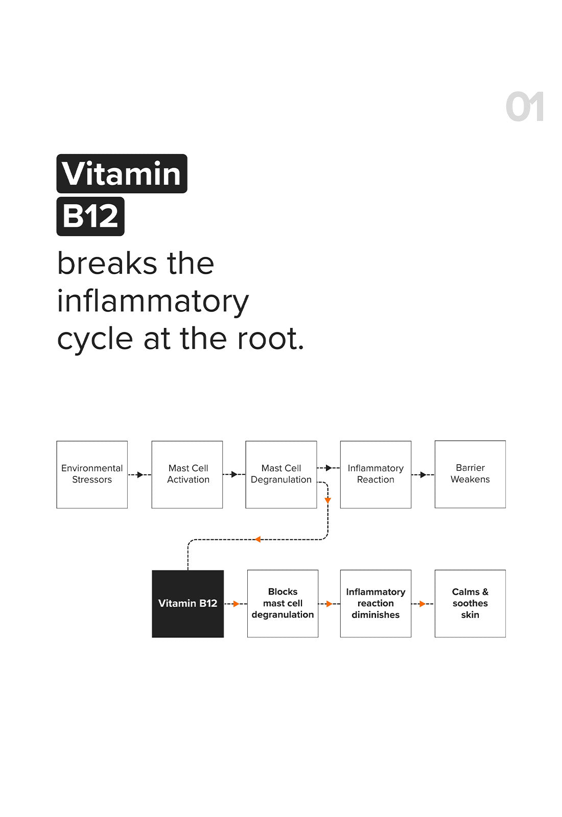 B12 + Repair Complex 5.5% Face Moisturizer - Image 3