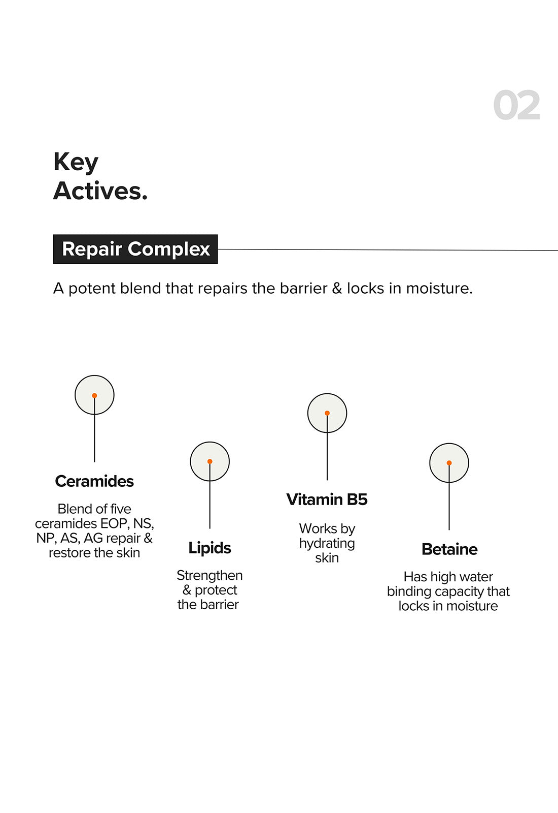 B12 + Repair Complex 5.5% Face Moisturizer - Image 6